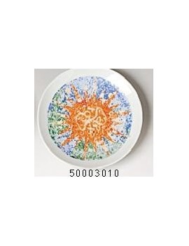 Plate Rosette 12 cm