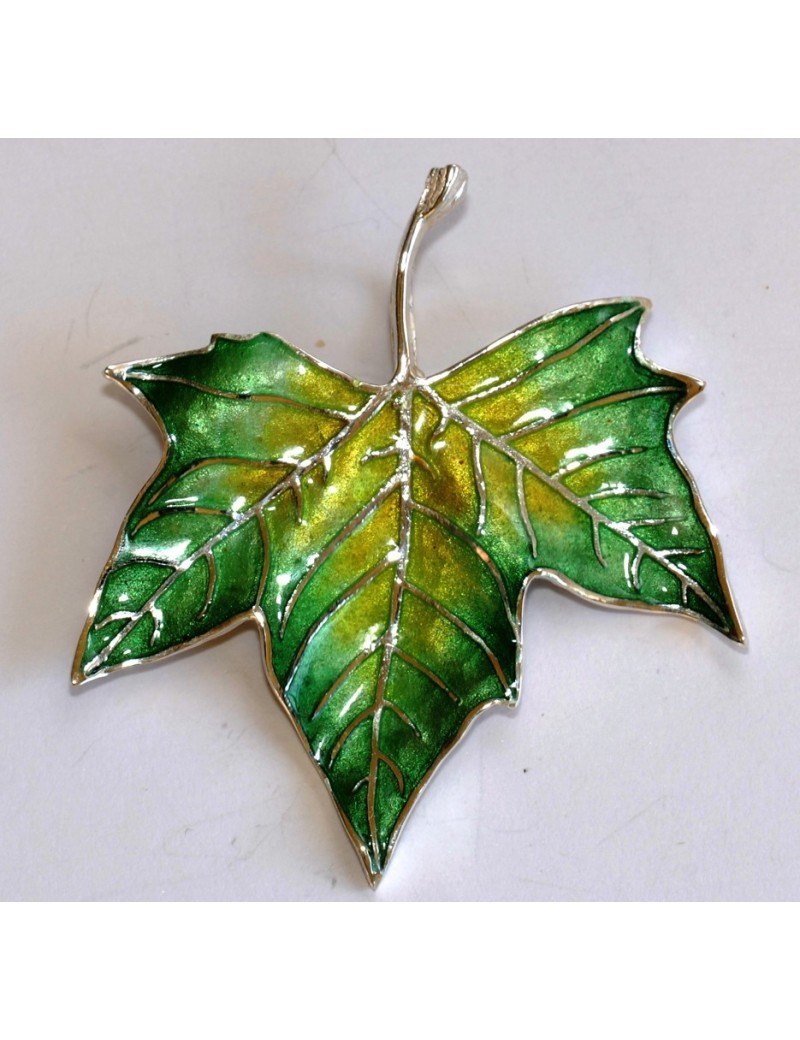 Agulla full de plàtan