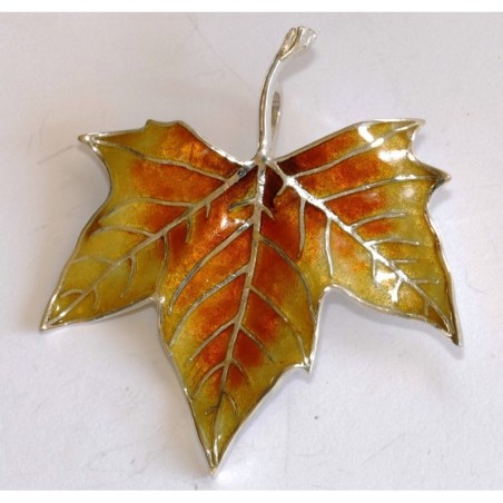 Agulla full de plàtan