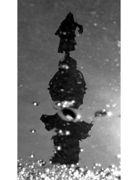 Fotografía Reflejo Colon 2