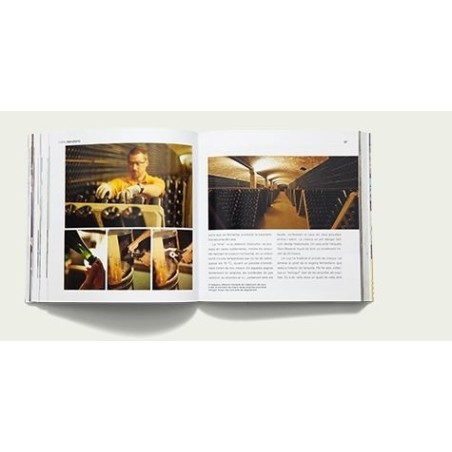 Barcelona gastronomy and cook