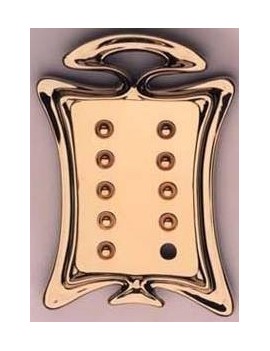 Placa timbre puntas diferentes 