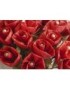 Personalized Silk Flower Scarf