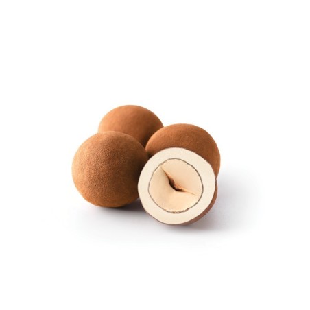 Avellanes de xocolata Gaudí
