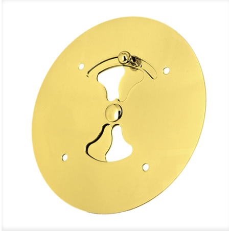 Disque intérieur judas