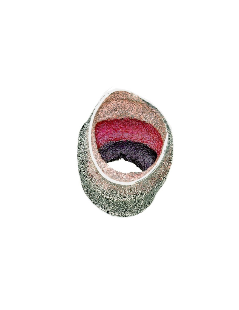 Colgante Sinera