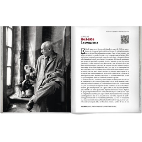 Biography Illustrated by Pablo Picasso