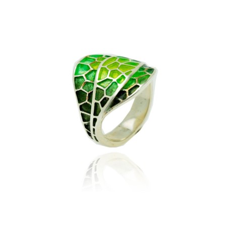 Anillo Musa