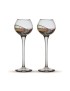 2 Copes Grappa Gaudí Terra