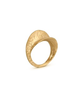 Anillo Gaudí Infinito