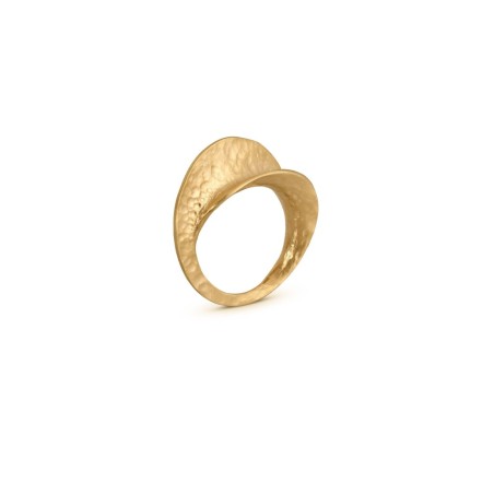 Anillo Gaudí Infinito