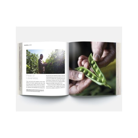 Barcelona gastronomy and cook